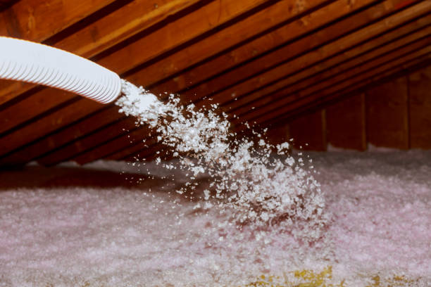 Best Insulation Maintenance and Repair in Holly Springs, MS