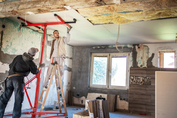 Best Geographic-Specific Insulation Services in Holly Springs, MS