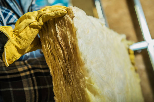 Best Energy Efficiency Insulation in Holly Springs, MS