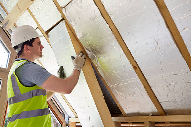 Best DIY Insulation Kits and Guidance in Holly Springs, MS