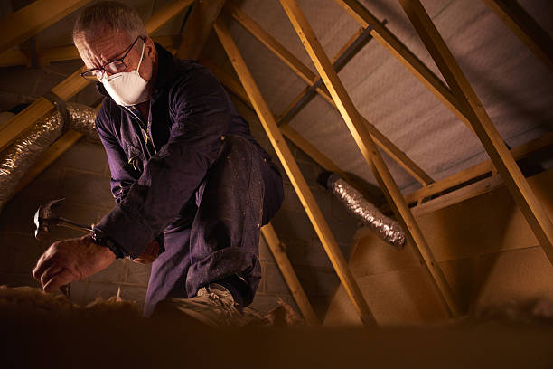 Professional Insulation Contractor in Holly Springs, MS