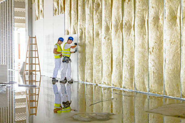 Best Insulation Maintenance and Repair in Holly Springs, MS